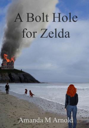 Cover of the book A Bolt Hole for Zelda by Lesley Morrissey
