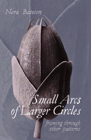 Cover of the book Small Arcs of Larger Circles by Michel Clasquin-Johnson