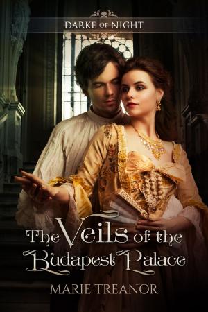 Cover of the book The Veils of the Budapest Palace by Marie Treanor