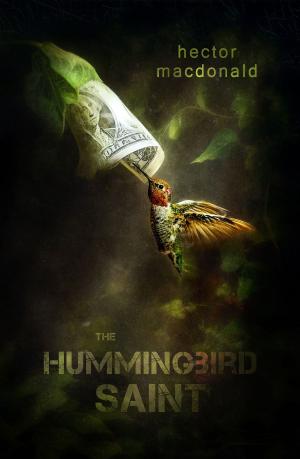Cover of the book The Hummingbird Saint by Mickaël Paitel
