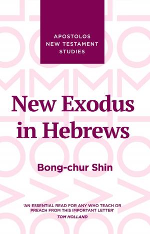 Cover of the book New Exodus in Hebrews by Mathew Bartlett, Derek Williams