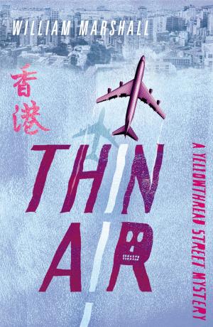Cover of the book Thin Air by Hamilton Crane, Heron Carvic