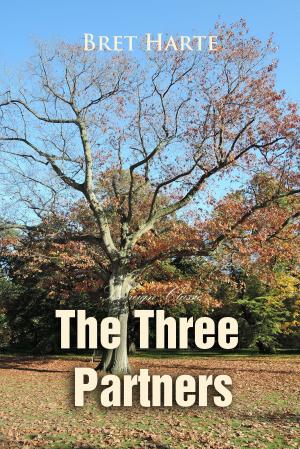 Cover of the book The Three Partners by Cicero