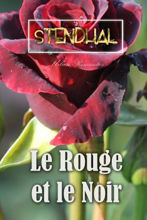 Book cover of Le Rouge et le Noir