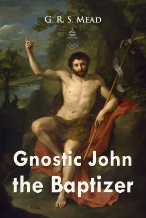 Cover of the book Gnostic John the Baptizer by Bruce Hozeski
