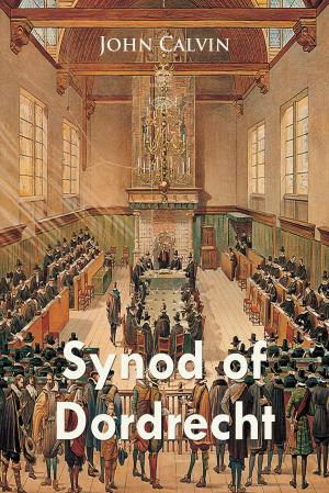 Cover of the book Synod of Dordrecht by Julius Caesar