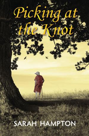 Cover of the book Picking at the Knot by Peter Wilson Cunliffe