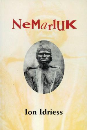 Cover of the book Nemarluk by J. Boyett