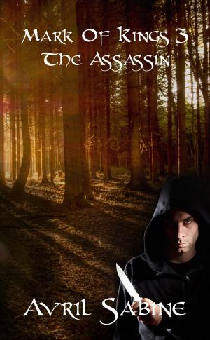 Cover of the book The Assassin by Stephanie Burgis