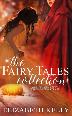 bigCover of the book The Fairy Tales Collection by 