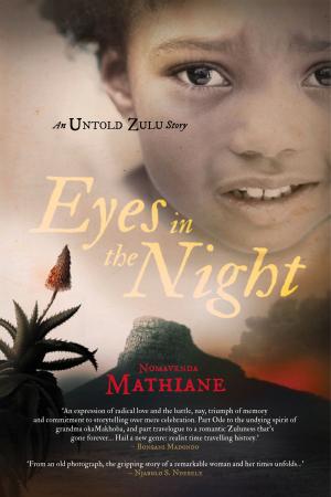 Cover of the book Eyes in the Night by David Bloomberg