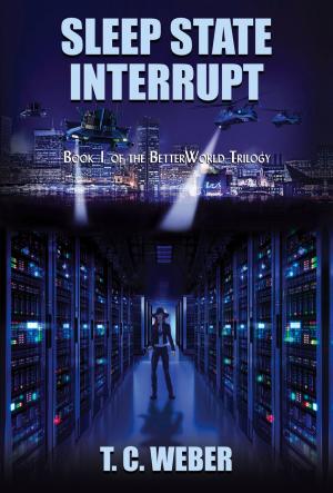 Cover of the book Sleep State Interrupt by Blake J.K. Chen