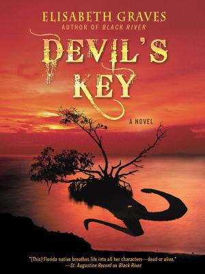 Cover of the book Devil's Key by Richard Puz