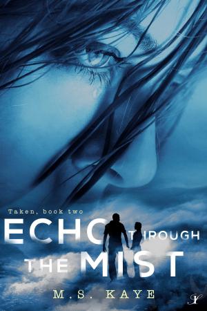 bigCover of the book Echo Through the Mist by 