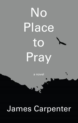 Cover of the book No Place to Pray by Emily Forbes