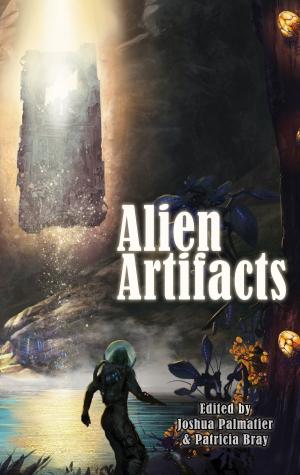 Cover of the book Alien Artifacts by Jim Bernheimer