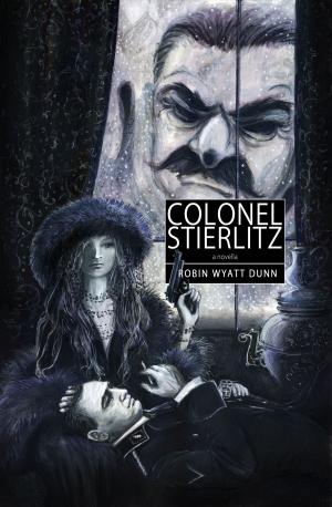 Cover of the book Colonel Stierlitz by Antonia Cyn