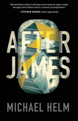bigCover of the book After James by 