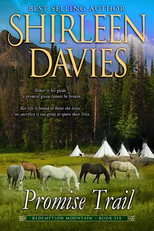 Cover of the book Promise Trail by Shirleen Davies