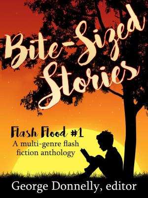 Book cover of Bite-Sized Stories
