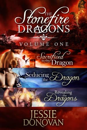 Book cover of Stonefire Dragons Collection: Volume One (Books #1-3)