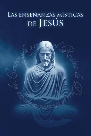Cover of the book Las Enseñanzas Místicas de Jesús by Sebastian Burnaz