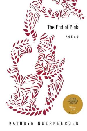 Cover of the book The End of Pink by Adam McOmber