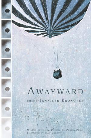 Cover of the book Awayward by Naomi Shihab Nye