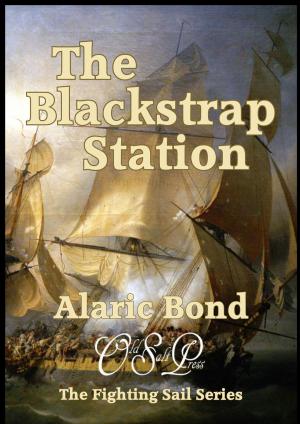 Cover of the book The Blackstrap Station by JOAN DRUETT