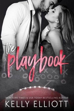 Cover of the book The Playbook by Cage Dunn