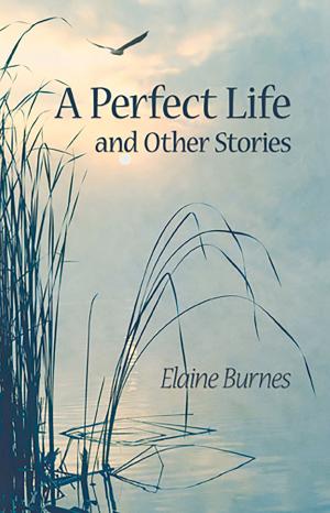 Cover of the book Perfect Life and Other Stories by Barbara Clanton
