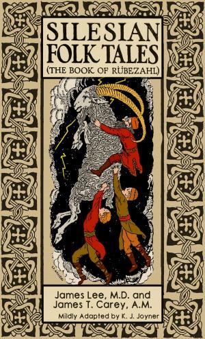 Cover of the book Silesian Folk Tales by Katrina J Joyner