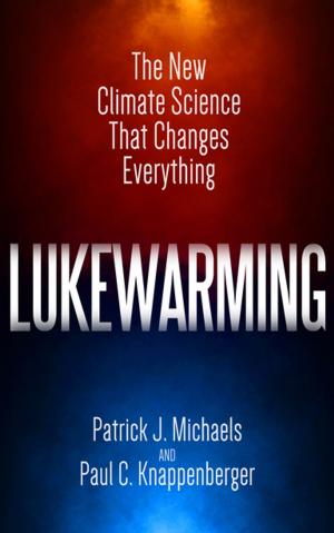 Cover of the book Lukewarming by Johan Norbeg