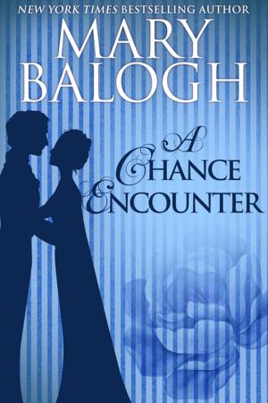 Cover of the book A Chance Encounter by Mary Balogh