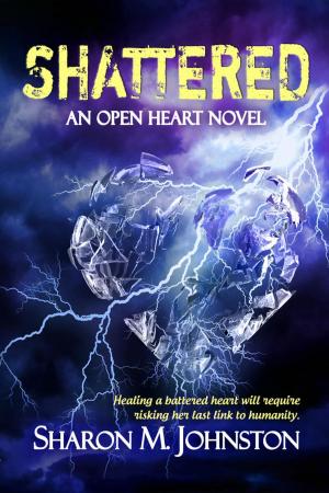 Cover of the book Shattered by Meg Mezeske