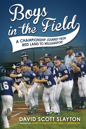 Book cover of Boys in the Field