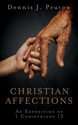Cover of the book Christian Affections: An Exposition of 1 Corinthians 13 by Jill Loree