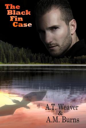 Book cover of The Black Fin Case