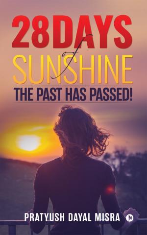 Cover of the book 28 Days of Sunshine by Virendra V Vaishnav