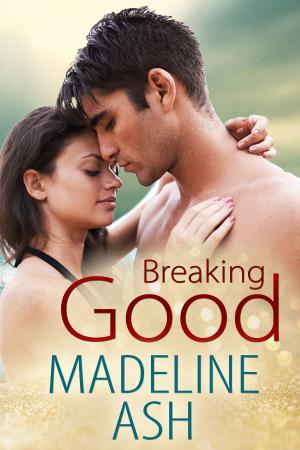Cover of the book Breaking Good by Megan Crane