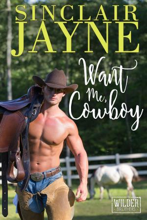 Book cover of Want Me, Cowboy