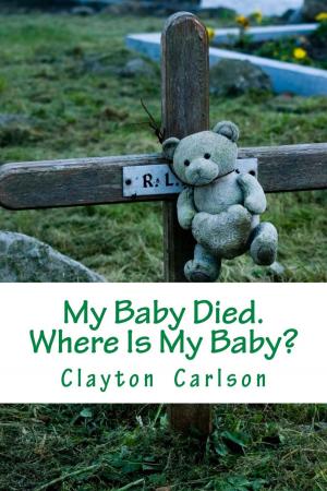 Cover of the book My Baby Died. Where Is My Baby? by Steve Biddison