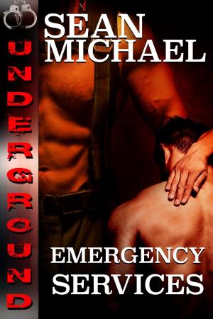Cover of the book Emergency Services by Sean Michael