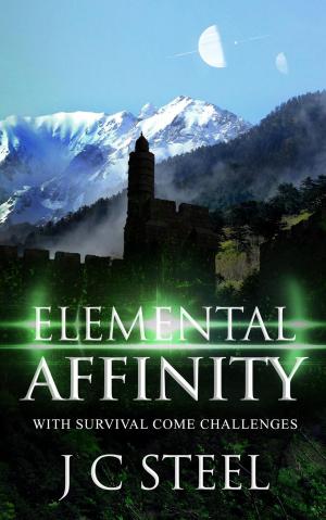 Book cover of Elemental Affinity
