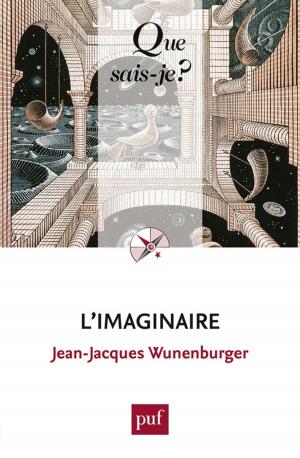 Cover of the book L'imaginaire by Dominique Boullier