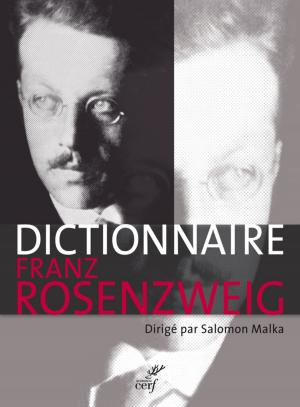 Cover of the book Dictionnaire Franz Rosenzweig - Une étoile dans le siècle by Thomas d'aquin