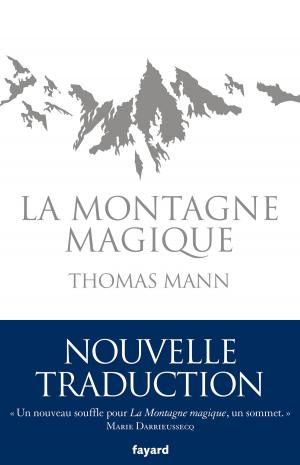 Cover of the book La Montagne magique by Madeleine Chapsal