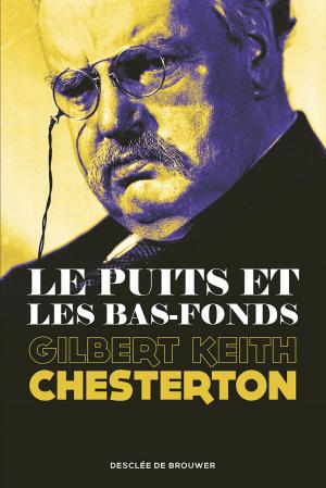 Book cover of Le Puits et les Bas-fonds