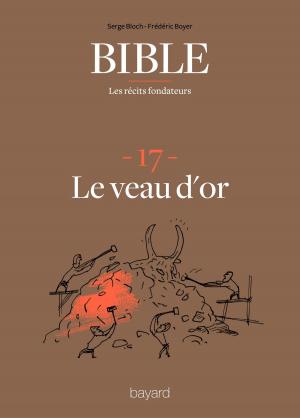 Cover of the book La Bible - Les récits fondateurs T17 by Fréderic Boyer, Serge Bloch