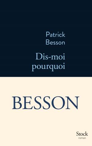Cover of the book Dis-moi pourquoi by Eric Faye